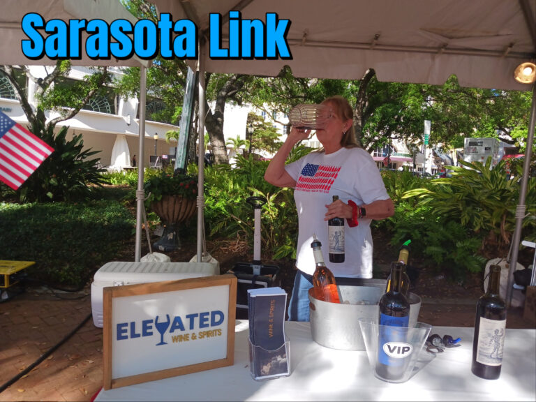 sarasota Link arta ww3w3